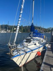 VENTE BATEAU REGINA_NIVILLAC-MORBIHAN-56-WESTERLY FULMAR