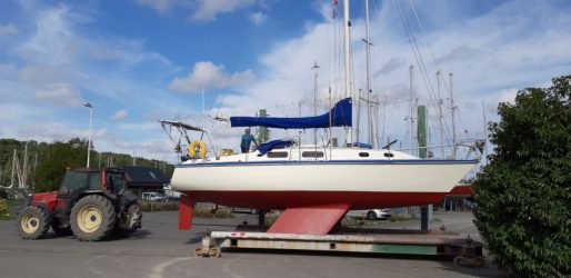 VENTE BATEAU REGINA_NIVILLAC-MORBIHAN-56-WESTERLY FULMAR