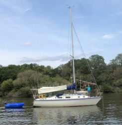VENTE BATEAU REGINA_NIVILLAC-MORBIHAN-56-WESTERLY FULMAR